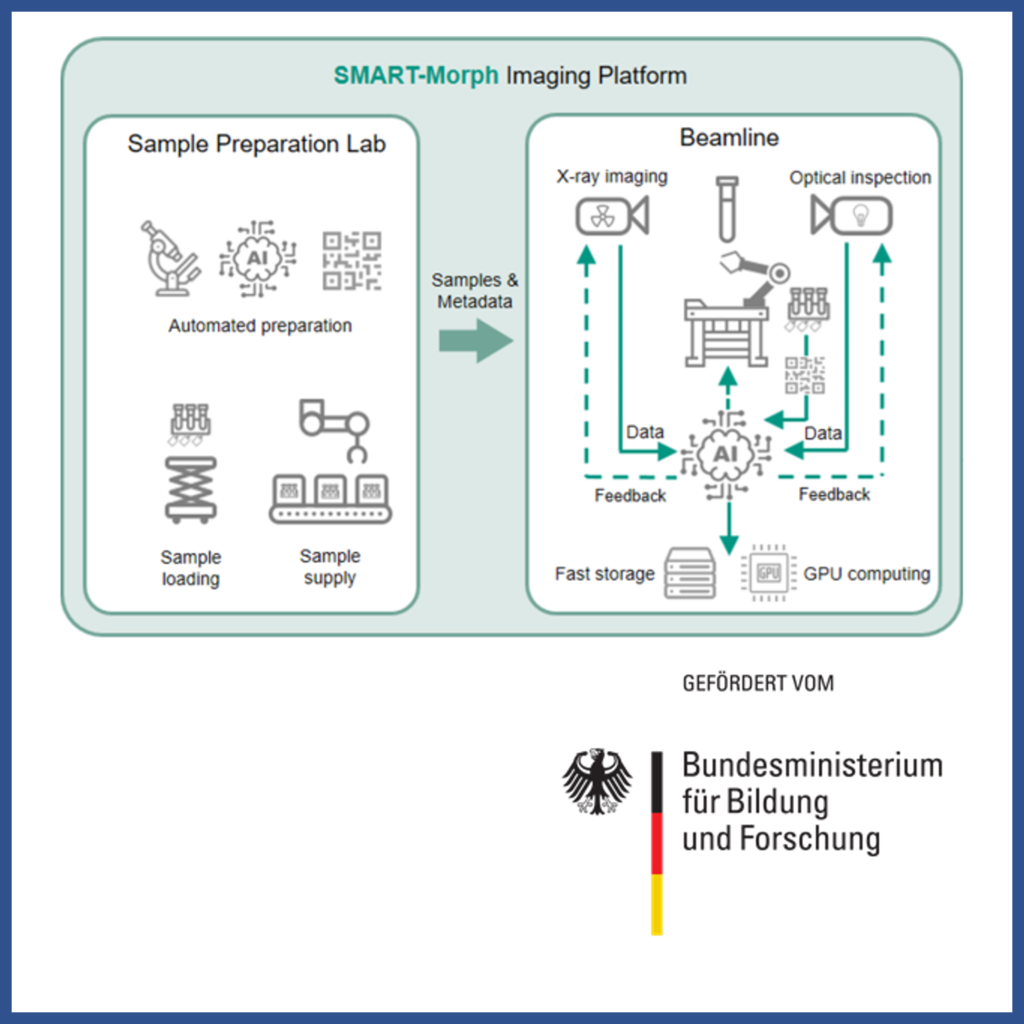 SMART-MORPH